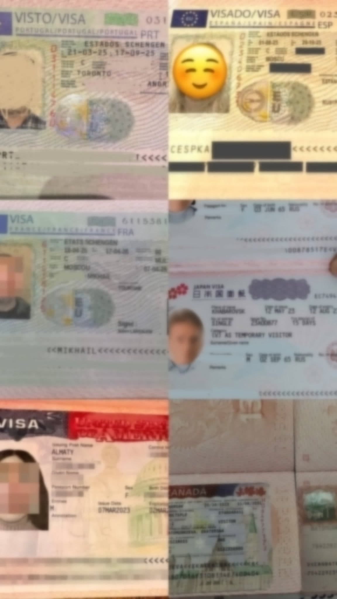 Examples of approved residence permits and visas